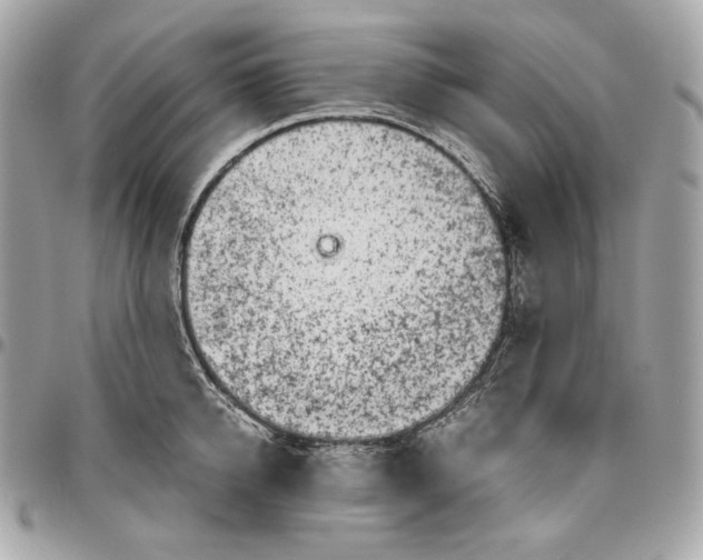 X0000096420950200802071659