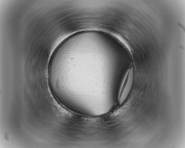 X0000096420951200802071659