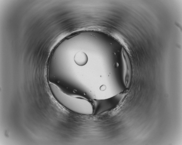 X0000096420952200802071659