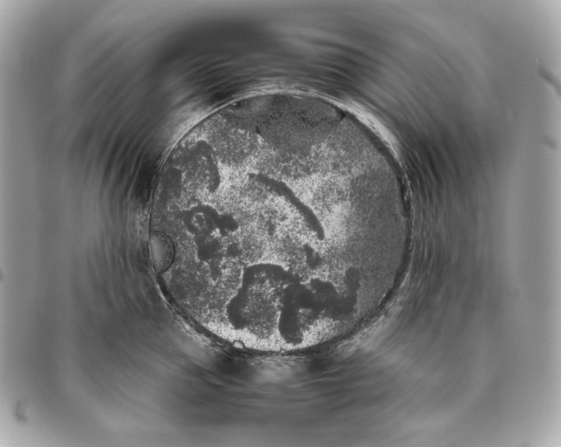 X0000096420953200802071659