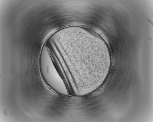 X0000096420954200802071659