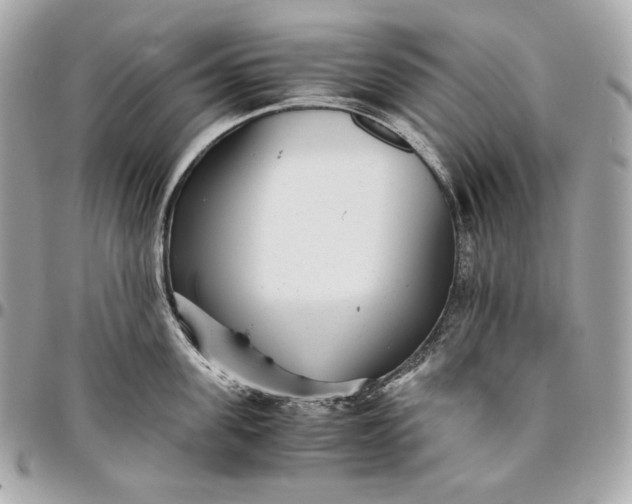 X0000096420955200802071659