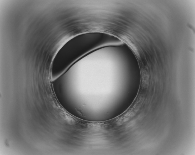 X0000096420956200802071659