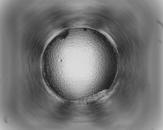 X0000096420957200802071659