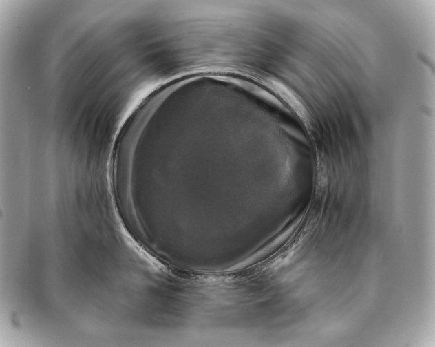 X0000096420958200802071659