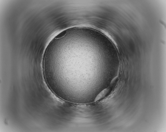 X0000096420959200802071659