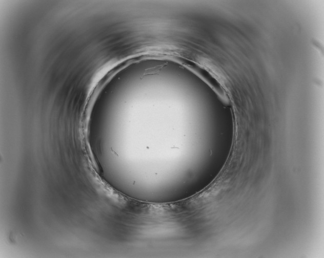 X0000096420960200802071659