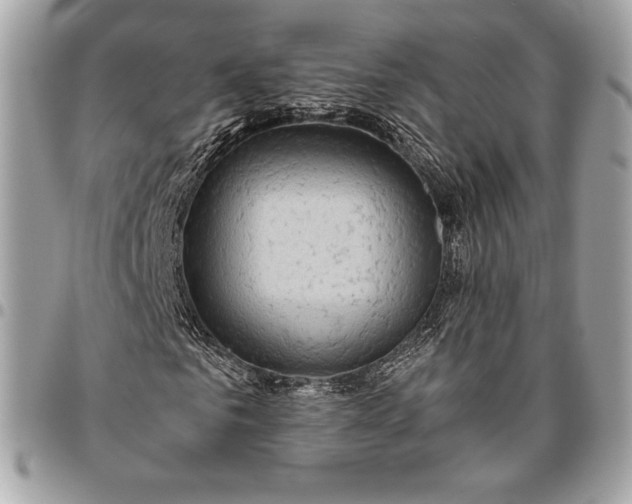 X0000096420961200802071659