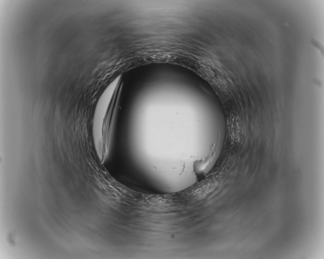 X0000096420962200802071659