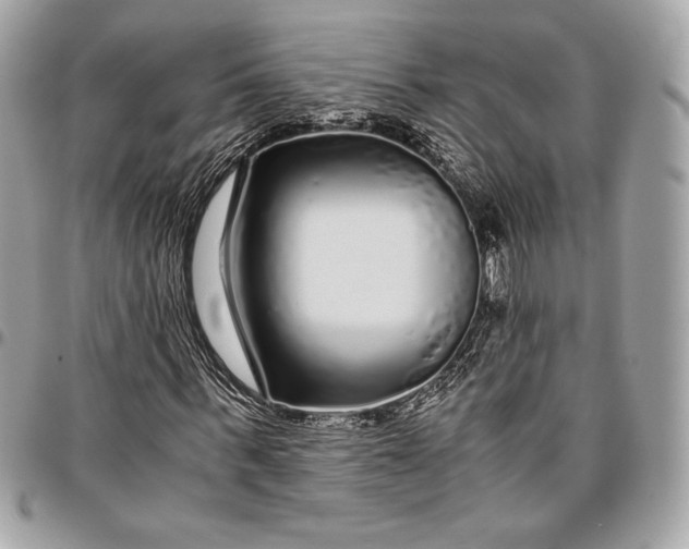 X0000096420963200802071659