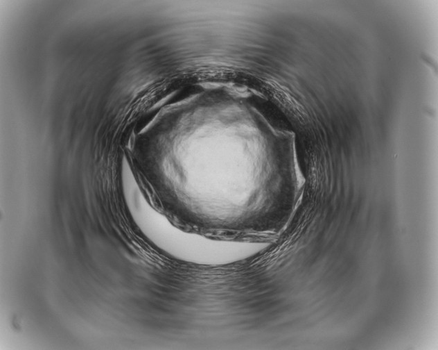 X0000096420964200802071659