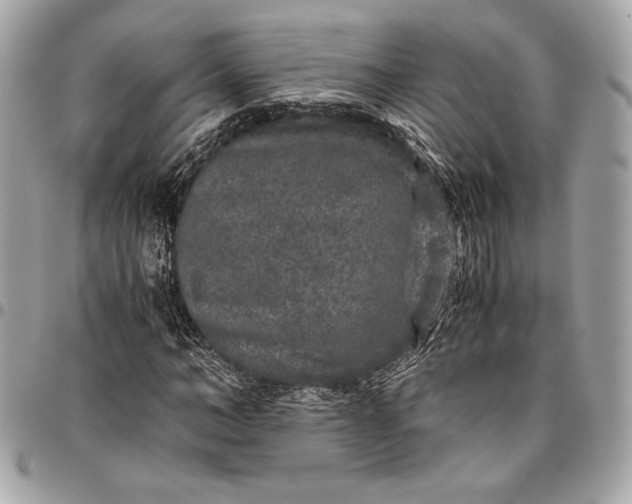 X0000096420966200802071659