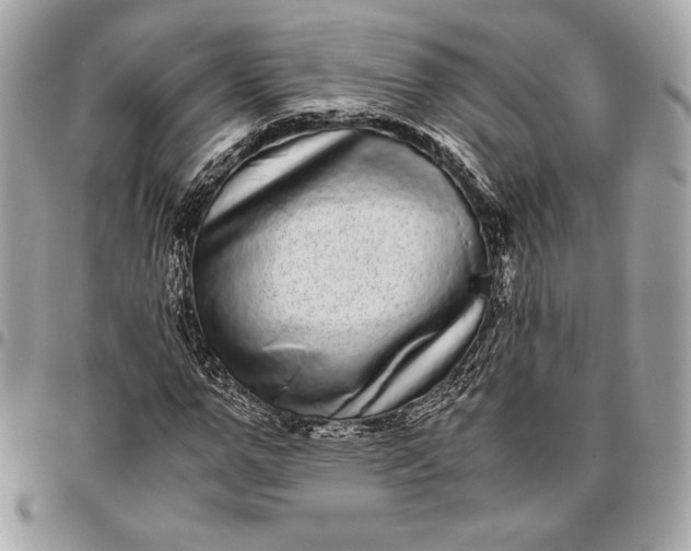 X0000096420967200802071659