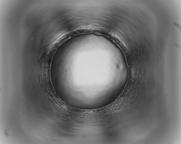 X0000096420968200802071659