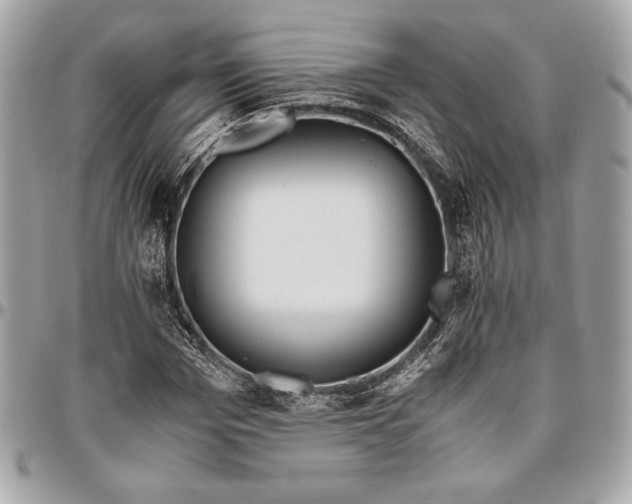 X0000096420969200802071659