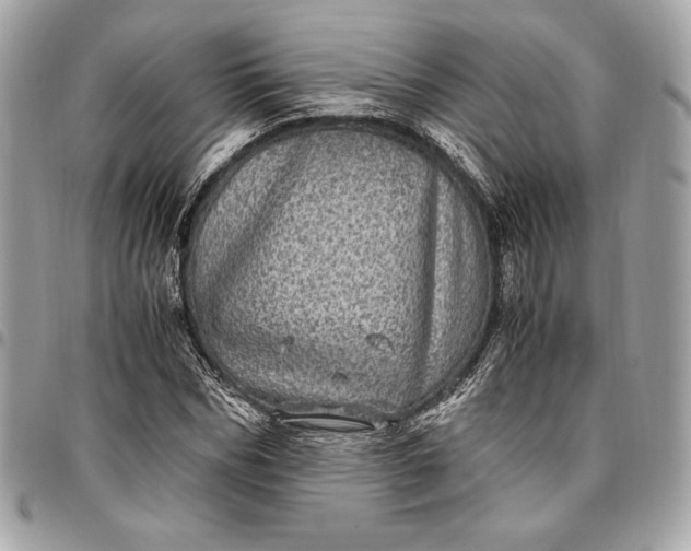 X0000096420970200802071659