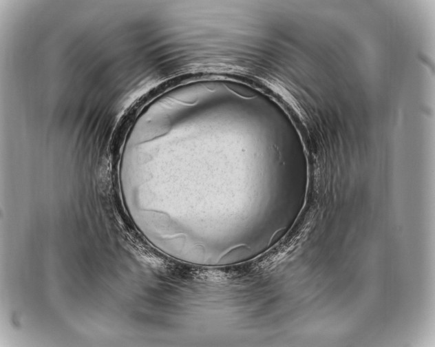 X0000096420971200802071659