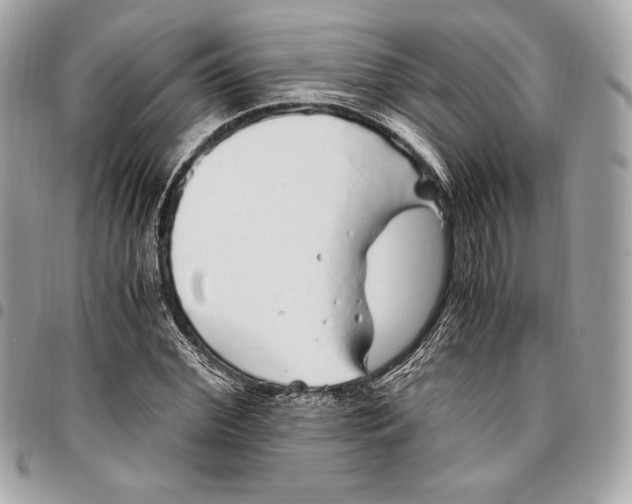 X0000096420972200802071659