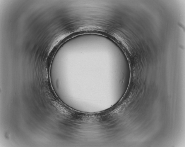 X0000096420973200802071659