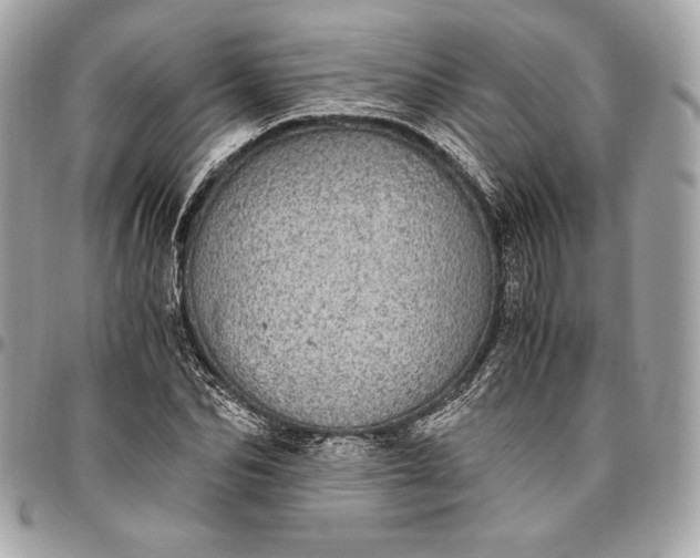 X0000096420974200802071659