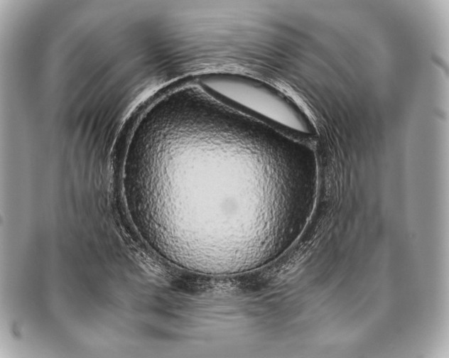 X0000096420975200802071659