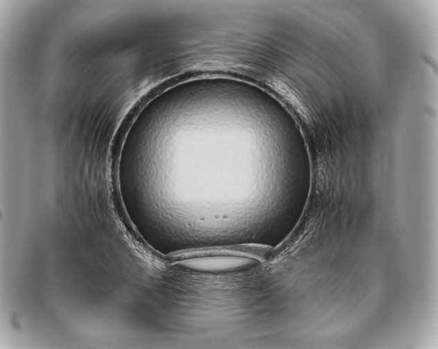 X0000096420976200802071659