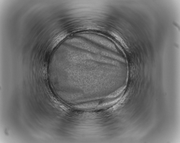 X0000096420977200802071659