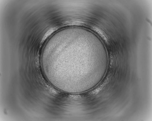 X0000096420978200802071659