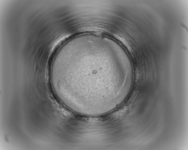 X0000096420979200802071659