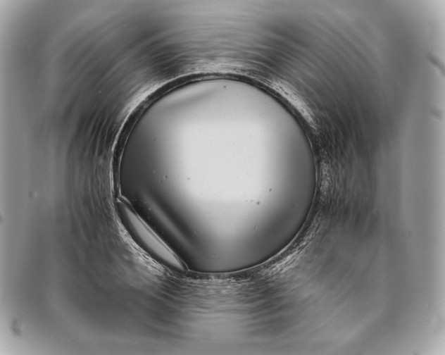 X0000096420980200802071659