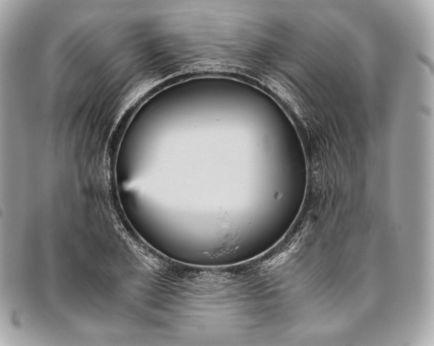 X0000096420981200802071658