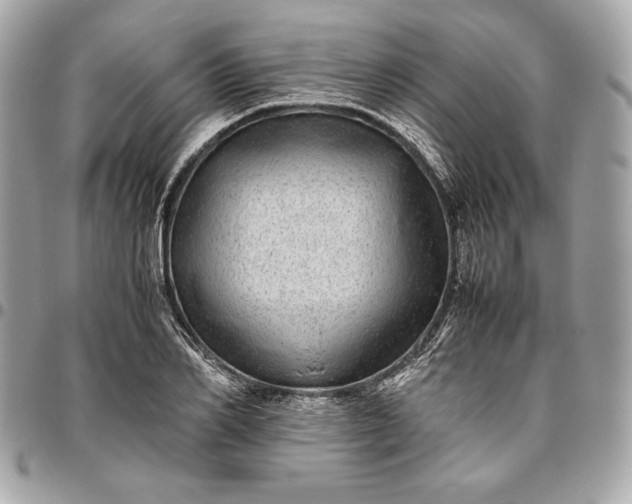 X0000096420982200802071658