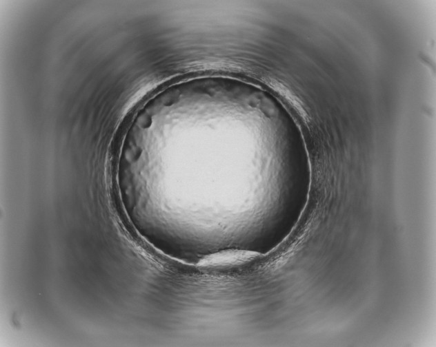 X0000096420983200802071658