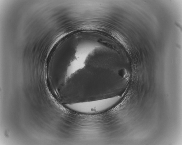 X0000096420984200802071658