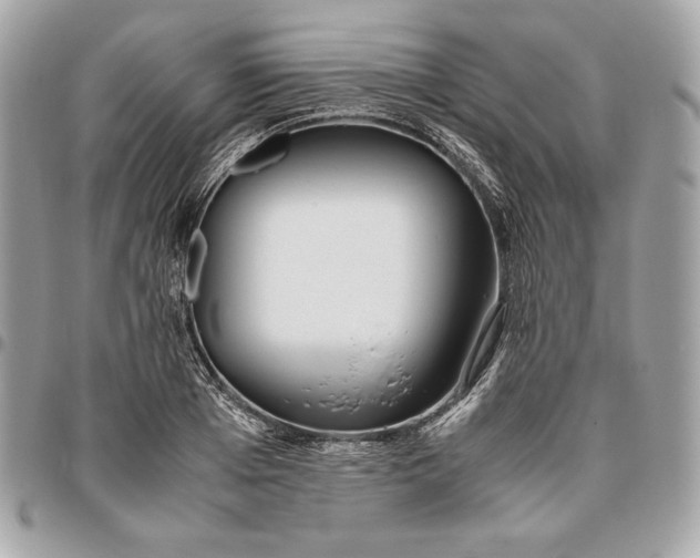 X0000096420985200802071658