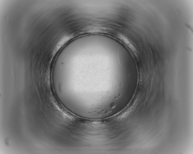 X0000096420986200802071658