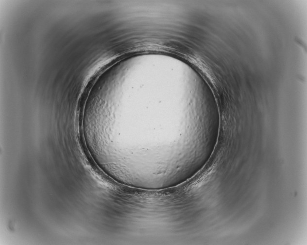 X0000096420987200802071658