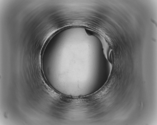 X0000096420988200802071658