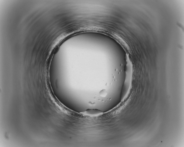 X0000096420989200802071658