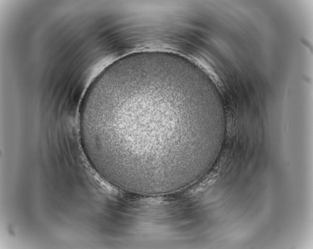 X0000096420990200802071658