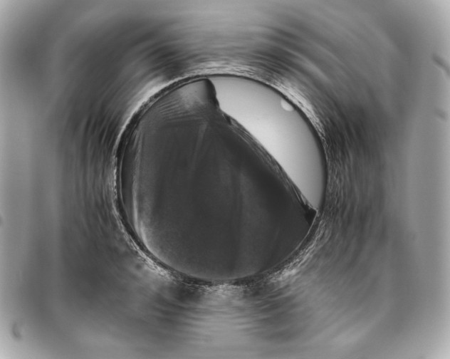 X0000096420992200802071658