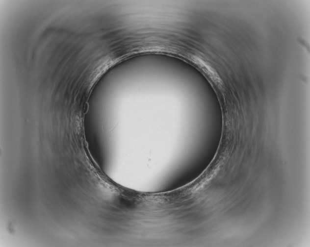 X0000096420993200802071658