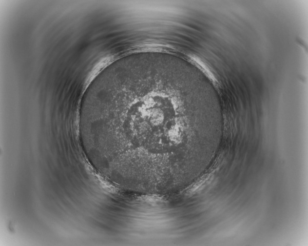 X0000096420994200802071658