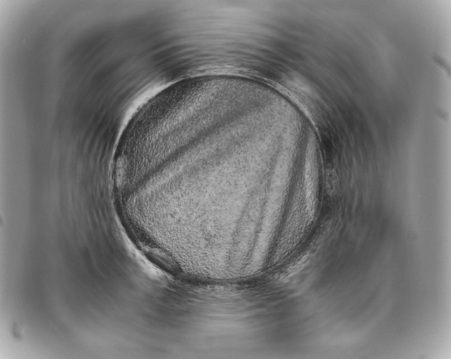 X0000096420995200802071658