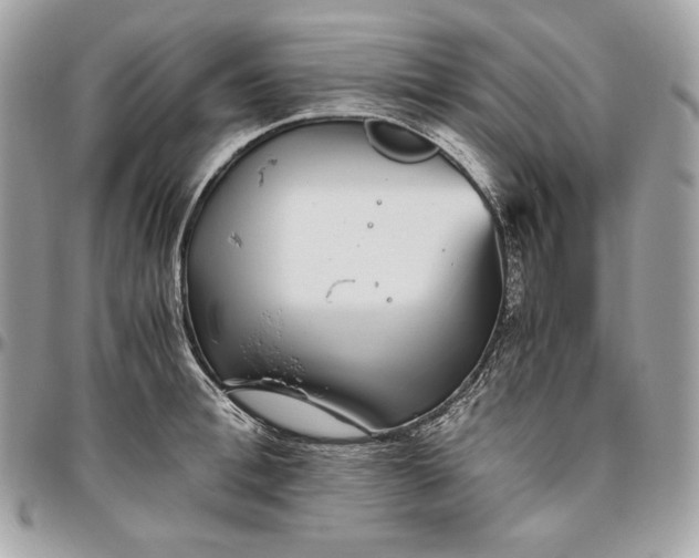 X0000096420996200802071658