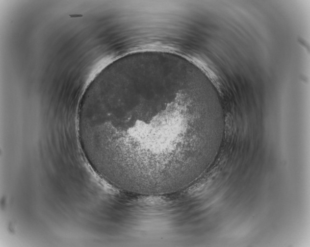 X0000096420998200802071658