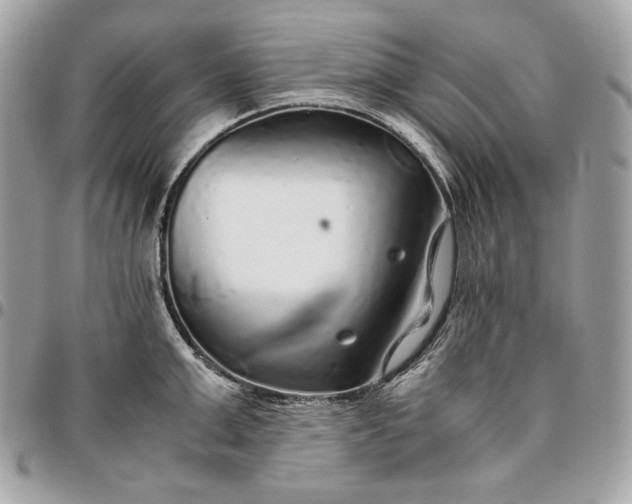 X0000096420999200802071658