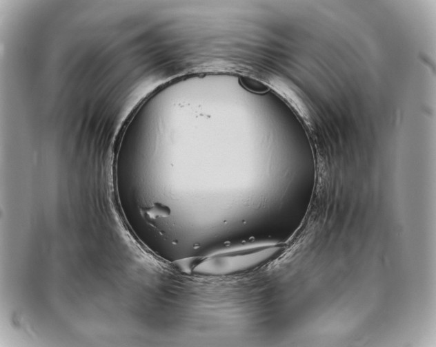 X0000096421000200802071658