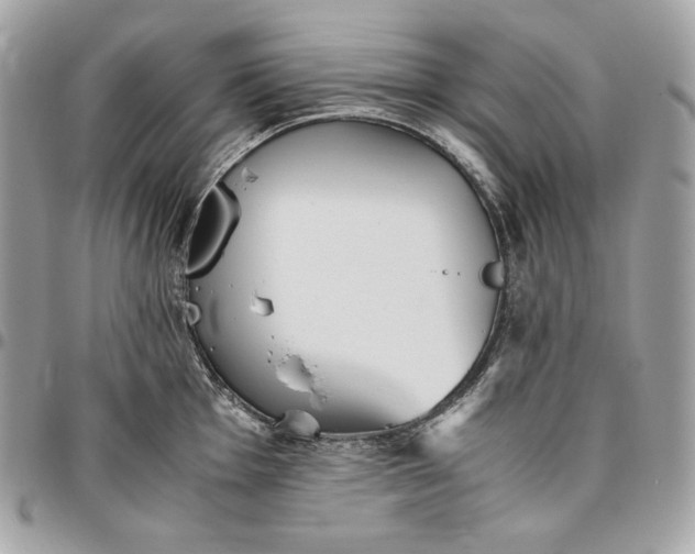 X0000096421001200802071658