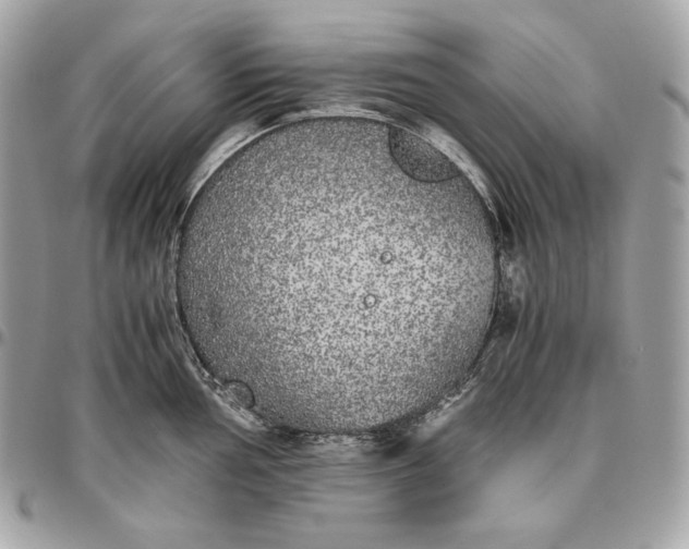 X0000096421002200802071658